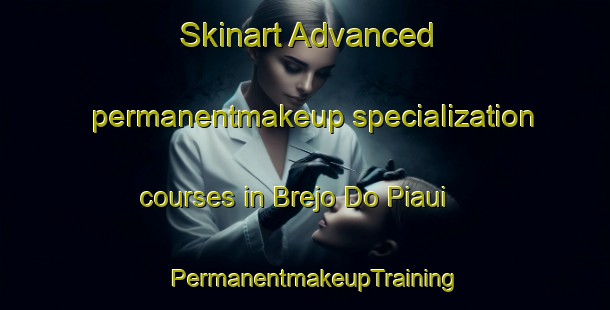 Skinart Advanced permanentmakeup specialization courses in Brejo Do Piaui | PermanentmakeupTraining | PermanentmakeupClasses | SkinartTraining-Brazil