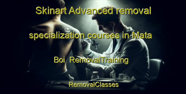 Skinart Advanced removal specialization courses in Mata Boi | RemovalTraining | RemovalClasses | SkinartTraining-Brazil