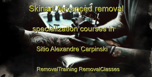 Skinart Advanced removal specialization courses in Sitio Alexandre Carpinski | #RemovalTraining #RemovalClasses #SkinartTraining-Brazil