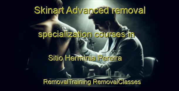 Skinart Advanced removal specialization courses in Sitio Herminia Pereira | #RemovalTraining #RemovalClasses #SkinartTraining-Brazil