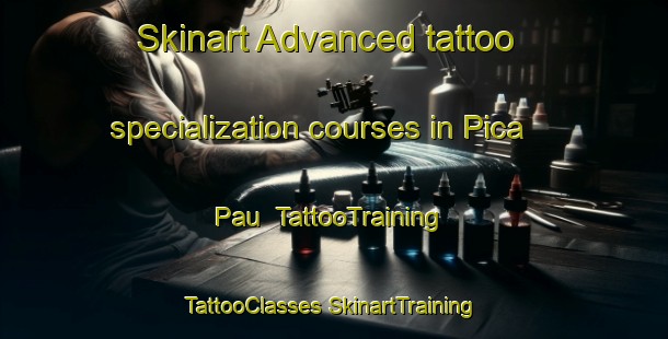 Skinart Advanced tattoo specialization courses in Pica Pau | #TattooTraining #TattooClasses #SkinartTraining-Brazil