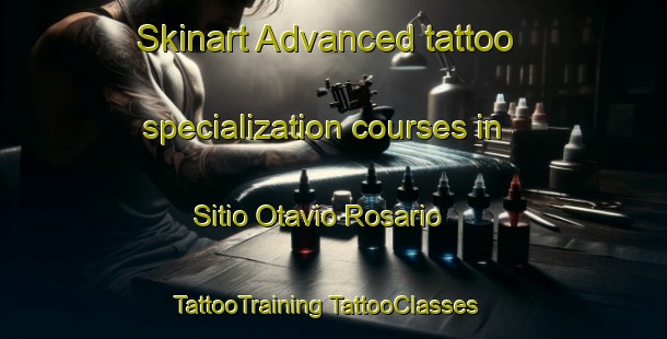 Skinart Advanced tattoo specialization courses in Sitio Otavio Rosario | #TattooTraining #TattooClasses #SkinartTraining-Brazil