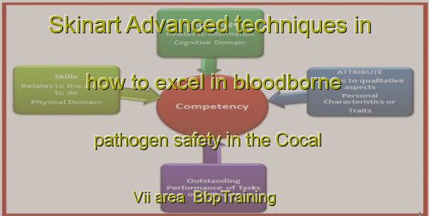 Skinart Advanced techniques in how to excel in bloodborne pathogen safety in the Cocal Vii area | BbpTraining | BbpClasses | SkinartTraining-Brazil