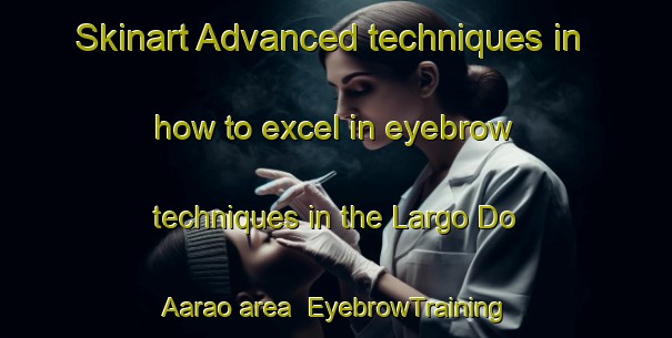 Skinart Advanced techniques in how to excel in eyebrow techniques in the Largo Do Aarao area | EyebrowTraining | EyebrowClasses | SkinartTraining-Brazil
