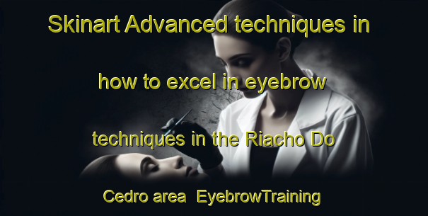 Skinart Advanced techniques in how to excel in eyebrow techniques in the Riacho Do Cedro area | EyebrowTraining | EyebrowClasses | SkinartTraining-Brazil