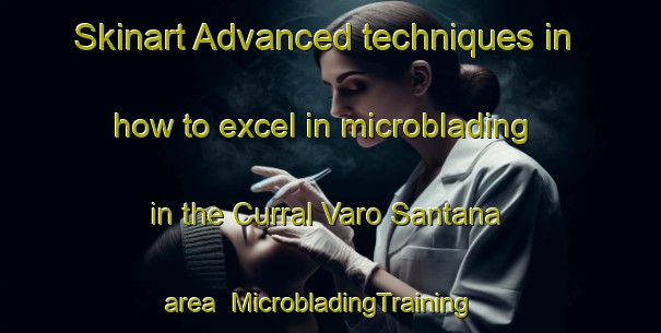 Skinart Advanced techniques in how to excel in microblading in the Curral Varo Santana area | MicrobladingTraining | MicrobladingClasses | SkinartTraining-Brazil
