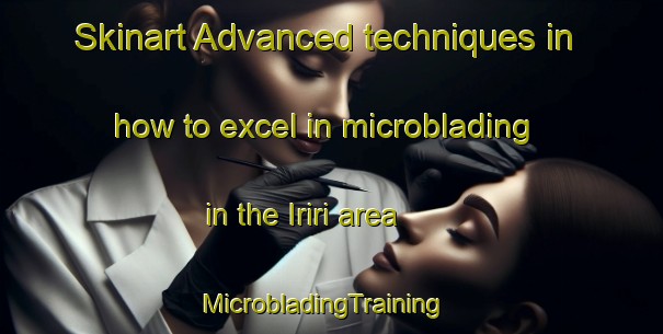 Skinart Advanced techniques in how to excel in microblading in the Iriri area | MicrobladingTraining | MicrobladingClasses | SkinartTraining-Brazil