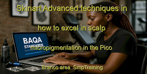 Skinart Advanced techniques in how to excel in scalp micropigmentation in the Pico Branco area | SmpTraining | SmpClasses | SkinartTraining-Brazil