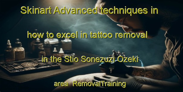 Skinart Advanced techniques in how to excel in tattoo removal in the Stio Sonezuzi Ozeki area | RemovalTraining | RemovalClasses | SkinartTraining-Brazil