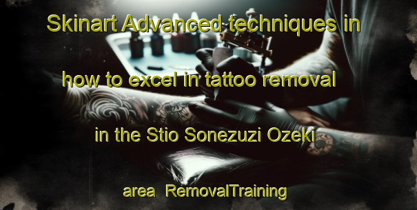 Skinart Advanced techniques in how to excel in tattoo removal in the Stio Sonezuzi Ozeki area | RemovalTraining | RemovalClasses | SkinartTraining-Brazil