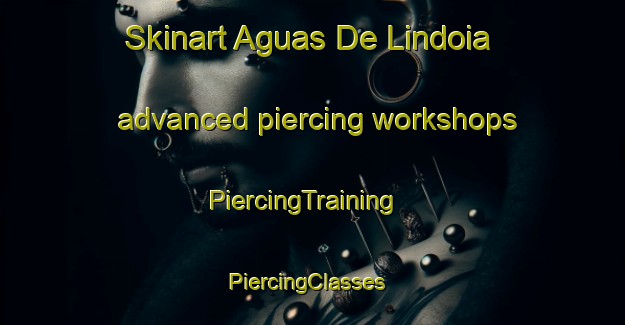 Skinart Aguas De Lindoia advanced piercing workshops | PiercingTraining | PiercingClasses | SkinartTraining-Brazil
