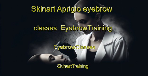 Skinart Aprigio eyebrow classes | EyebrowTraining | EyebrowClasses | SkinartTraining-Brazil