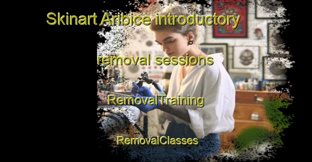 Skinart Aribice introductory removal sessions | RemovalTraining | RemovalClasses | SkinartTraining-Brazil