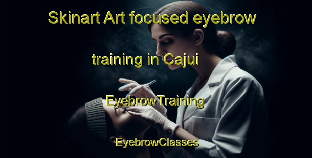 Skinart Art-focused eyebrow training in Cajui | EyebrowTraining | EyebrowClasses | SkinartTraining-Brazil