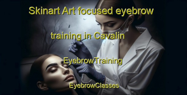 Skinart Art-focused eyebrow training in Cavalin | EyebrowTraining | EyebrowClasses | SkinartTraining-Brazil