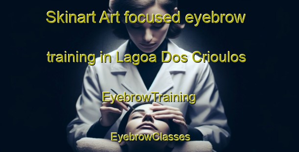 Skinart Art-focused eyebrow training in Lagoa Dos Crioulos | EyebrowTraining | EyebrowClasses | SkinartTraining-Brazil