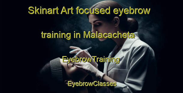 Skinart Art-focused eyebrow training in Malacacheta | EyebrowTraining | EyebrowClasses | SkinartTraining-Brazil