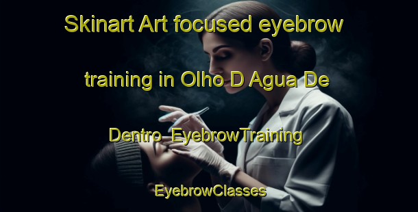 Skinart Art-focused eyebrow training in Olho D Agua De Dentro | EyebrowTraining | EyebrowClasses | SkinartTraining-Brazil
