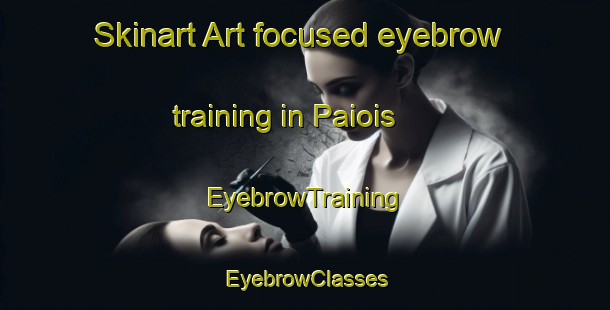 Skinart Art-focused eyebrow training in Paiois | EyebrowTraining | EyebrowClasses | SkinartTraining-Brazil