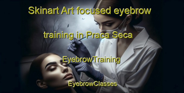 Skinart Art-focused eyebrow training in Praca Seca | EyebrowTraining | EyebrowClasses | SkinartTraining-Brazil
