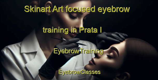 Skinart Art-focused eyebrow training in Prata I | EyebrowTraining | EyebrowClasses | SkinartTraining-Brazil