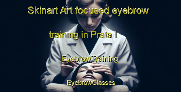 Skinart Art-focused eyebrow training in Prata I | EyebrowTraining | EyebrowClasses | SkinartTraining-Brazil