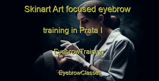Skinart Art-focused eyebrow training in Prata I | EyebrowTraining | EyebrowClasses | SkinartTraining-Brazil