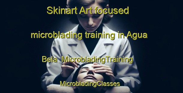 Skinart Art-focused microblading training in Agua Bela | MicrobladingTraining | MicrobladingClasses | SkinartTraining-Brazil