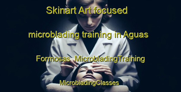 Skinart Art-focused microblading training in Aguas Formosas | MicrobladingTraining | MicrobladingClasses | SkinartTraining-Brazil