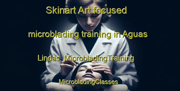 Skinart Art-focused microblading training in Aguas Lindas | MicrobladingTraining | MicrobladingClasses | SkinartTraining-Brazil