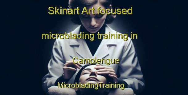 Skinart Art-focused microblading training in Camolengue | MicrobladingTraining | MicrobladingClasses | SkinartTraining-Brazil
