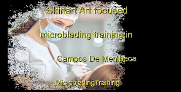 Skinart Art-focused microblading training in Campos De Membeca | MicrobladingTraining | MicrobladingClasses | SkinartTraining-Brazil
