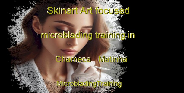 Skinart Art-focused microblading training in Charneca   Matinha | MicrobladingTraining | MicrobladingClasses | SkinartTraining-Brazil