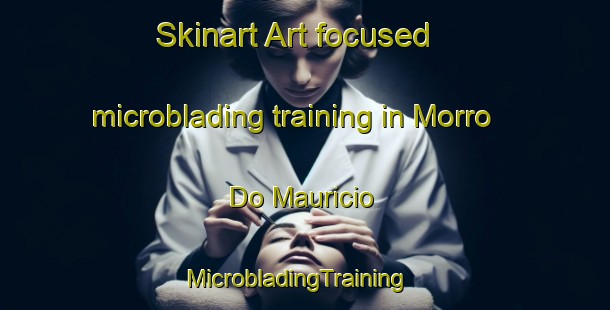 Skinart Art-focused microblading training in Morro Do Mauricio | MicrobladingTraining | MicrobladingClasses | SkinartTraining-Brazil