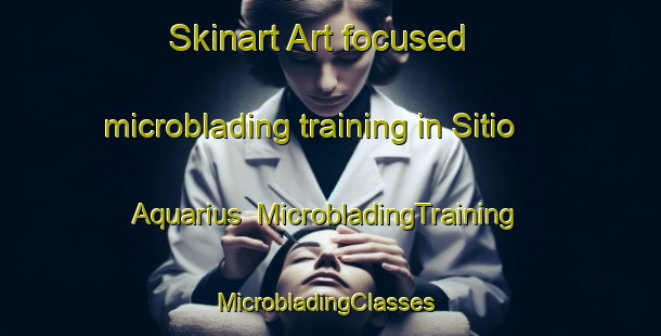 Skinart Art-focused microblading training in Sitio Aquarius | MicrobladingTraining | MicrobladingClasses | SkinartTraining-Brazil