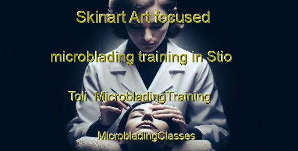 Skinart Art-focused microblading training in Stio Toli | MicrobladingTraining | MicrobladingClasses | SkinartTraining-Brazil