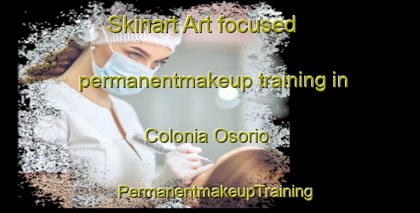 Skinart Art-focused permanentmakeup training in Colonia Osorio | PermanentmakeupTraining | PermanentmakeupClasses | SkinartTraining-Brazil