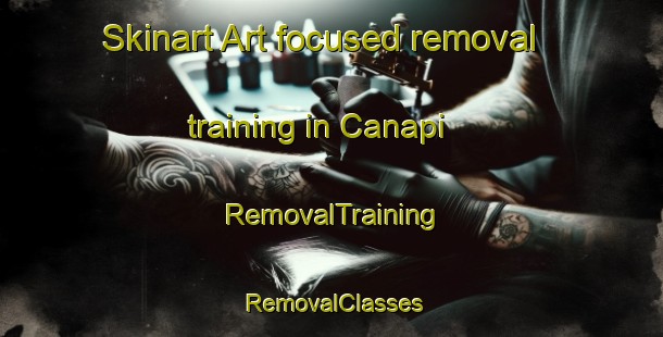 Skinart Art-focused removal training in Canapi | RemovalTraining | RemovalClasses | SkinartTraining-Brazil
