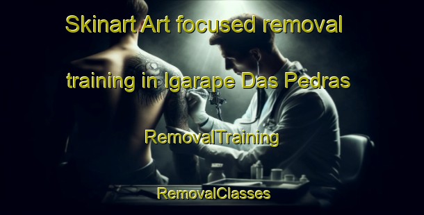 Skinart Art-focused removal training in Igarape Das Pedras | RemovalTraining | RemovalClasses | SkinartTraining-Brazil