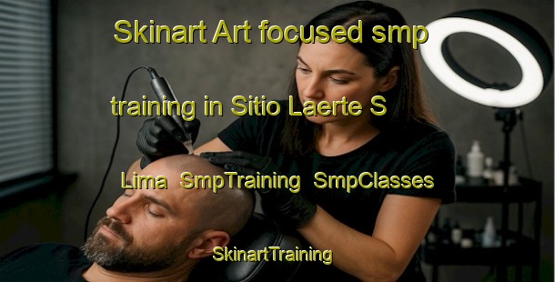 Skinart Art-focused smp training in Sitio Laerte S  Lima | SmpTraining | SmpClasses | SkinartTraining-Brazil
