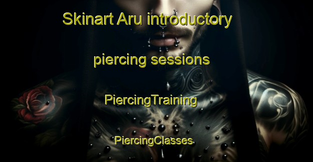 Skinart Aru introductory piercing sessions | PiercingTraining | PiercingClasses | SkinartTraining-Brazil
