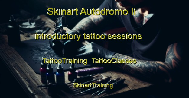 Skinart Autodromo Ii introductory tattoo sessions | TattooTraining | TattooClasses | SkinartTraining-Brazil