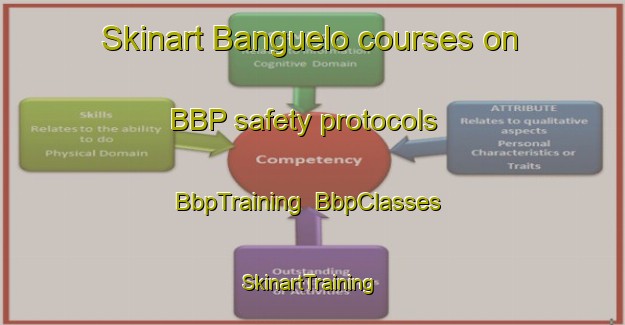 Skinart Banguelo courses on BBP safety protocols | BbpTraining | BbpClasses | SkinartTraining-Brazil