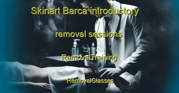 Skinart Barca introductory removal sessions | RemovalTraining | RemovalClasses | SkinartTraining-Brazil
