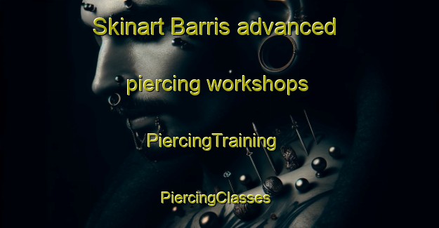 Skinart Barris advanced piercing workshops | PiercingTraining | PiercingClasses | SkinartTraining-Brazil