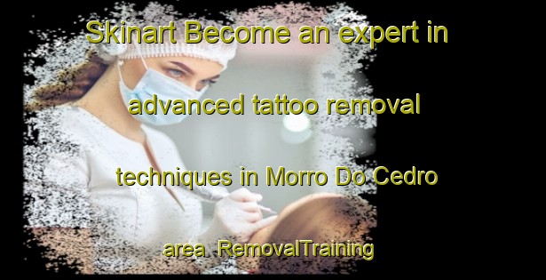 Skinart Become an expert in advanced tattoo removal techniques in Morro Do Cedro area | RemovalTraining | RemovalClasses | SkinartTraining-Brazil