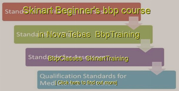 Skinart Beginner's bbp course in Nova Tebas | BbpTraining | BbpClasses | SkinartTraining-Brazil