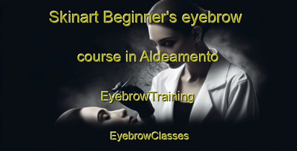 Skinart Beginner's eyebrow course in Aldeamento | EyebrowTraining | EyebrowClasses | SkinartTraining-Brazil