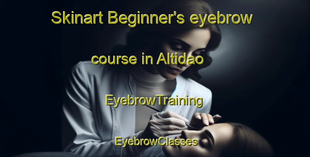 Skinart Beginner's eyebrow course in Altidao | EyebrowTraining | EyebrowClasses | SkinartTraining-Brazil