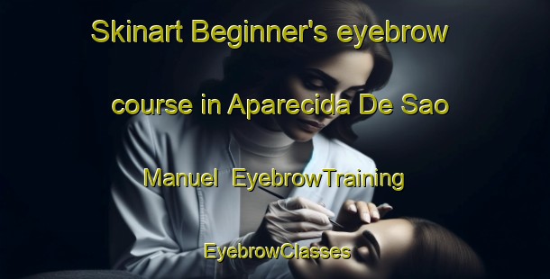 Skinart Beginner's eyebrow course in Aparecida De Sao Manuel | EyebrowTraining | EyebrowClasses | SkinartTraining-Brazil